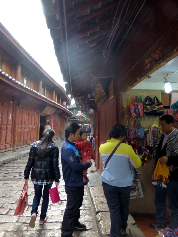 p1140066.jpg