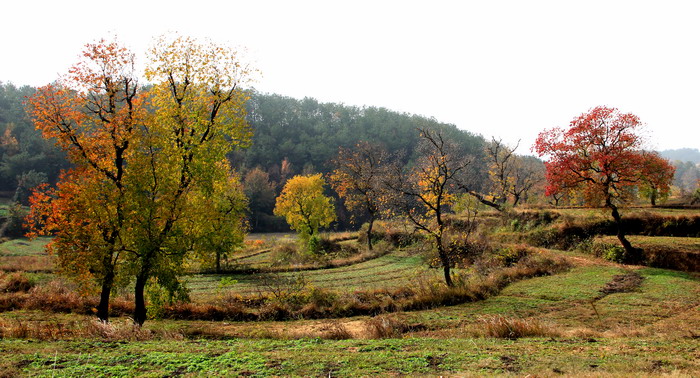 img_9959_СС.jpg