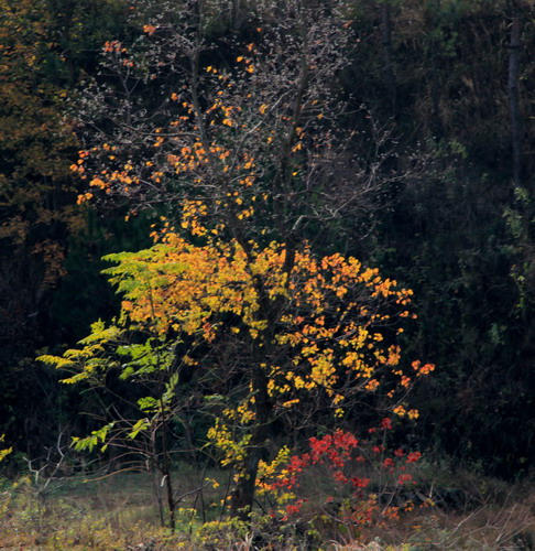 img_9935_СС.jpg