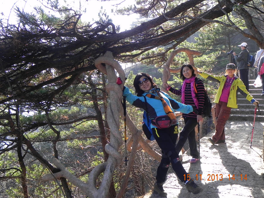 dscn6115.jpg