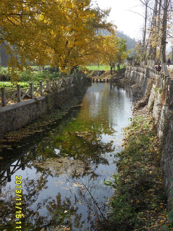sdc13834_.jpg
