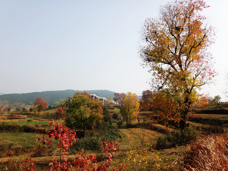 dsc04126.jpg