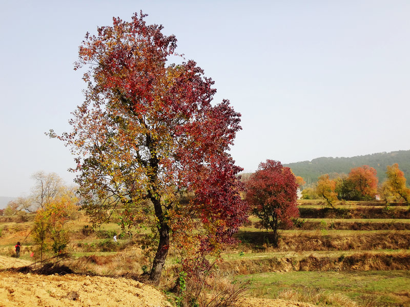 dsc04216.jpg