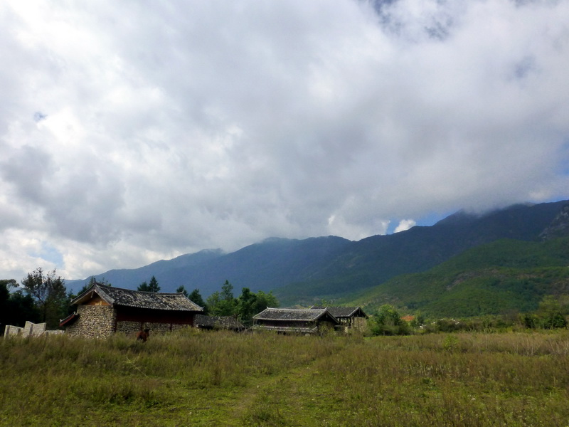 p1140084.jpg