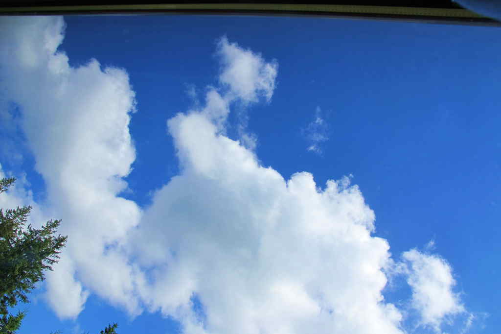 img_0956_.jpg