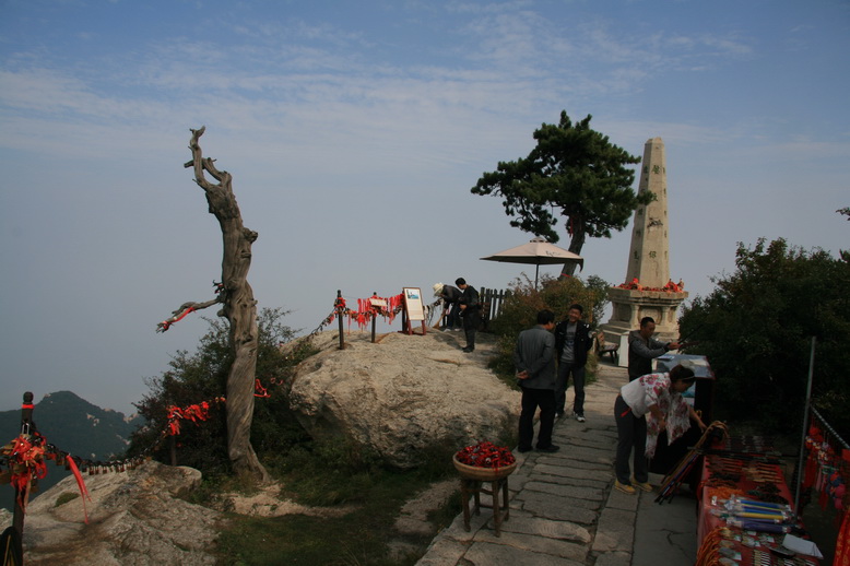 2913.jpg