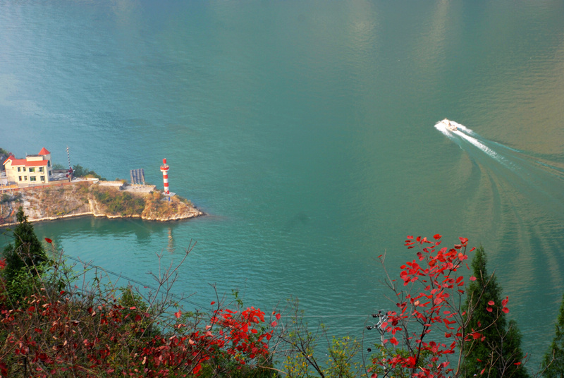 dsc_0296.jpg