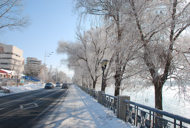 dsc_3324.jpg