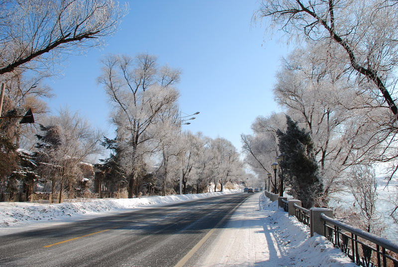 dsc_3351.jpg