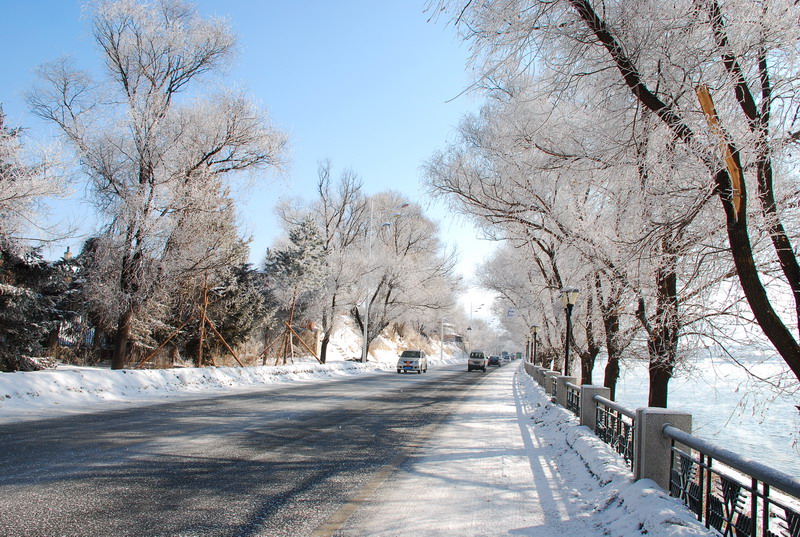 dsc_3355.jpg