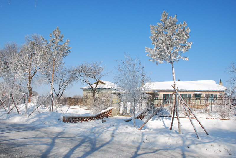 dsc_3420.jpg