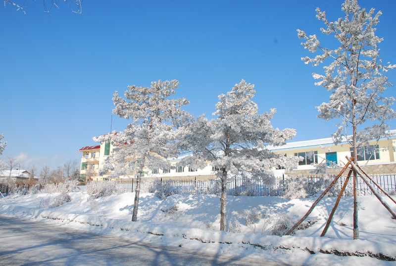 dsc_3431.jpg