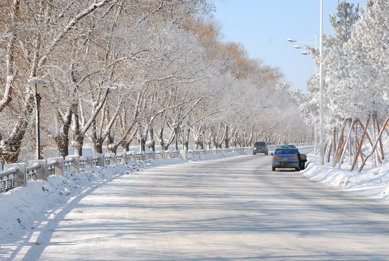 dsc_3472.jpg