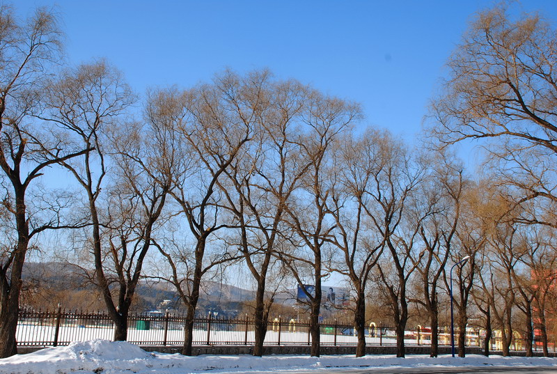 dsc_3524.jpg