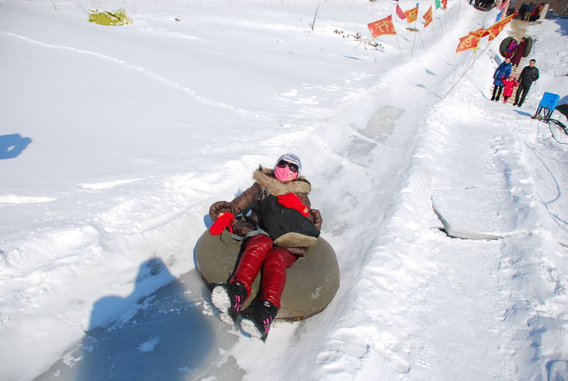dsc_3536.jpg
