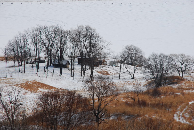 dsc_3970.jpg