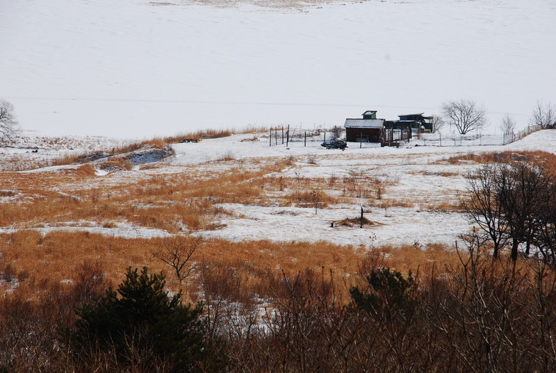 dsc_3971.jpg