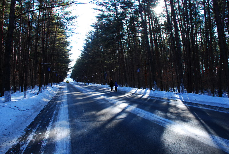 dsc_4163.jpg