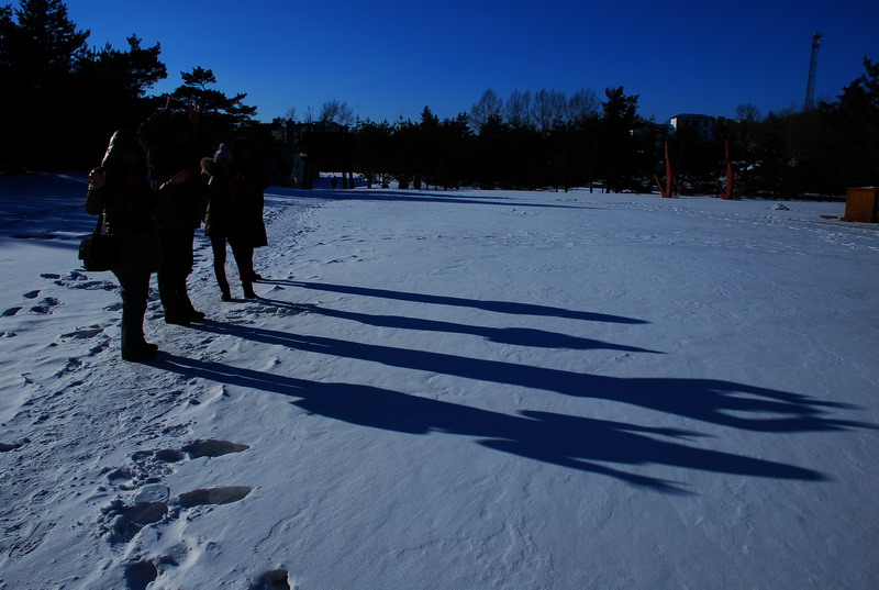 dsc_4177.jpg