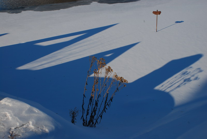dsc_4187.jpg