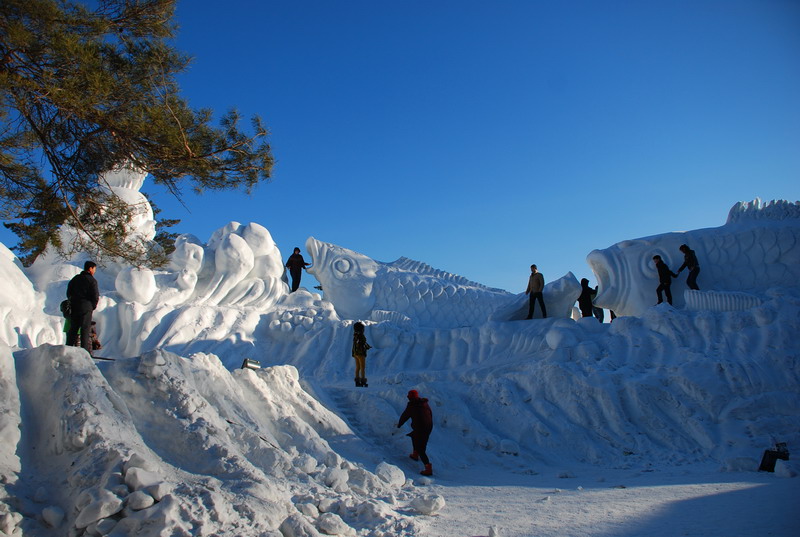 dsc_4237.jpg