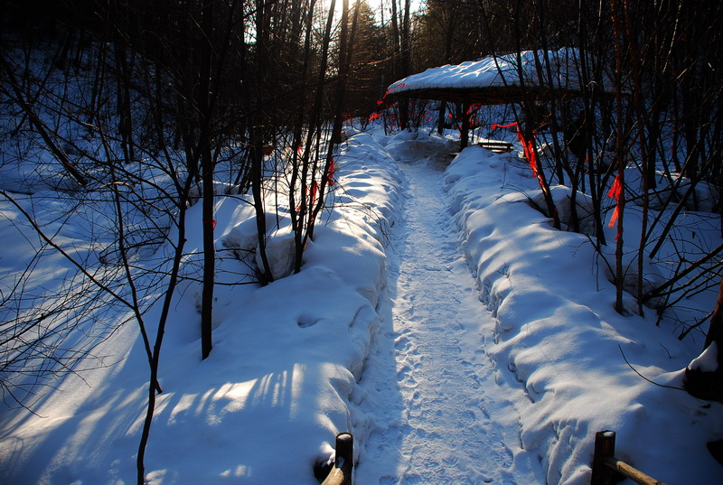 dsc_4408.jpg