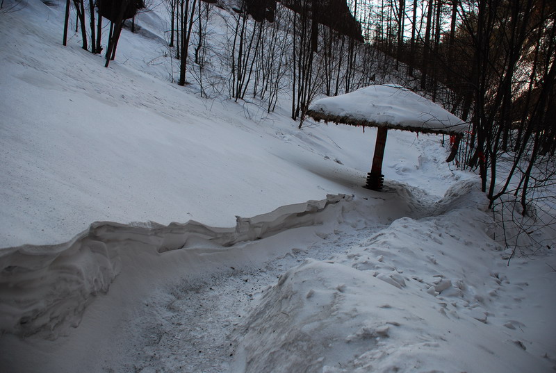 dsc_4440.jpg