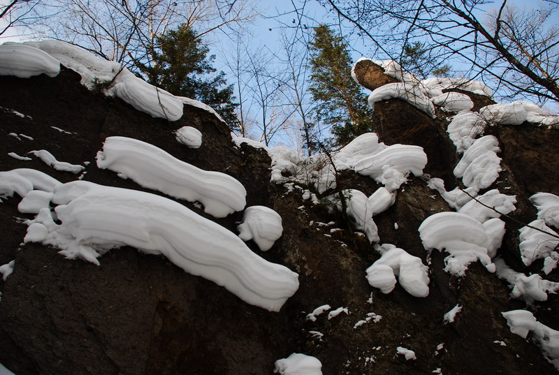 dsc_4473.jpg
