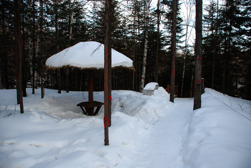 dsc_4485.jpg