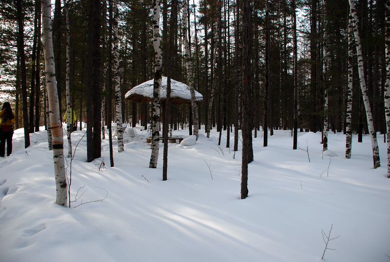 dsc_4497.jpg