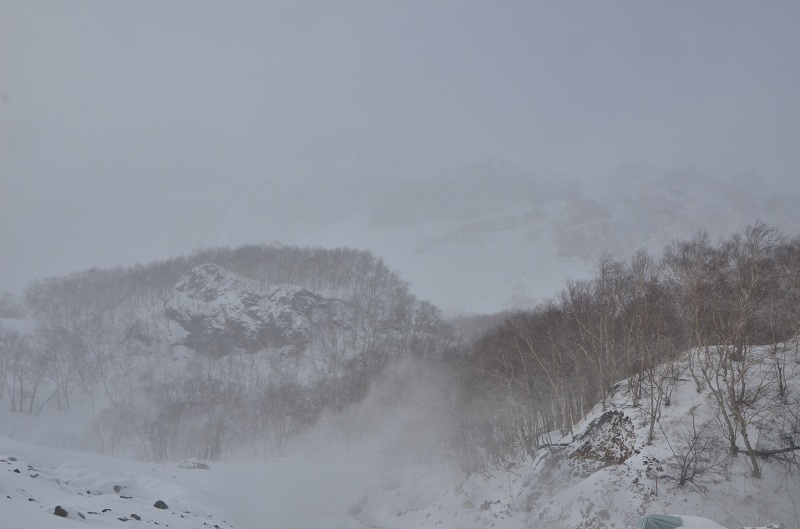 dsc_8622.jpg