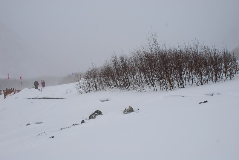 dsc_4754.jpg