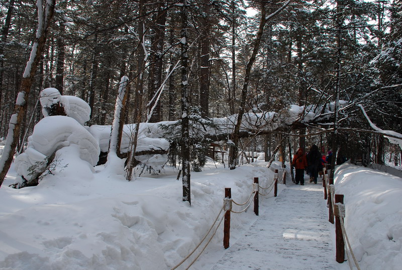 dsc_4859.jpg