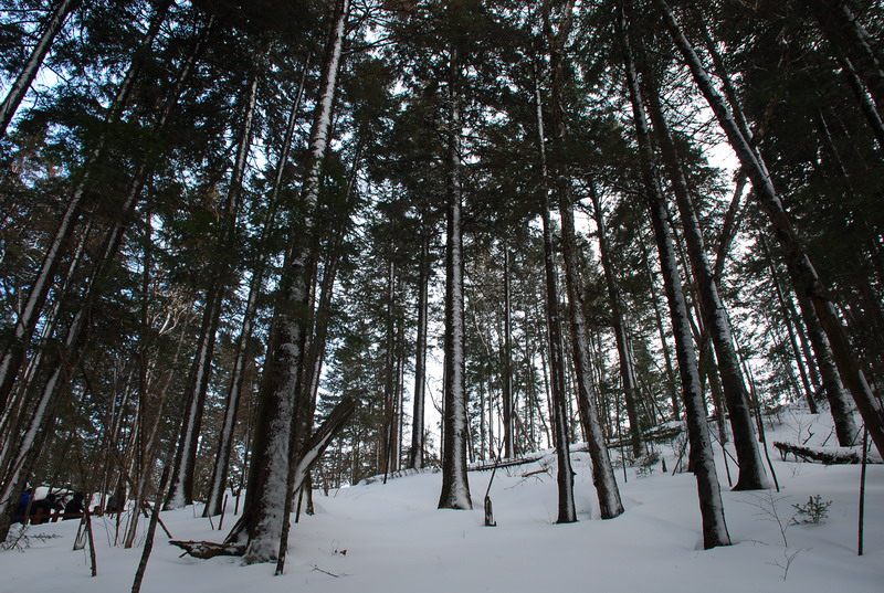 dsc_4869.jpg