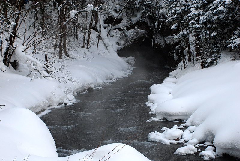 dsc_4879.jpg