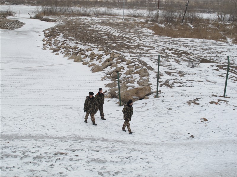 psbcafvet5w.jpg