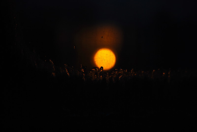 dsc_4986.jpg