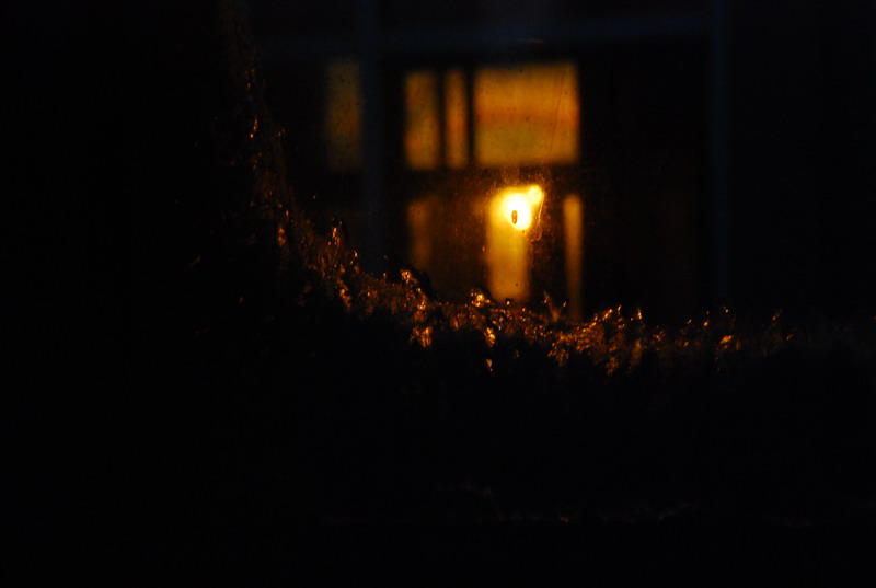 dsc_4987.jpg