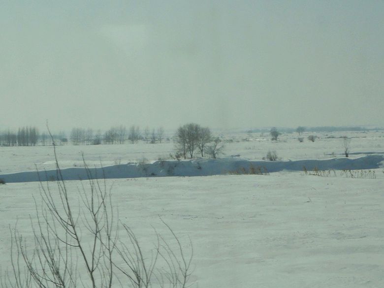 dsc09154.jpg