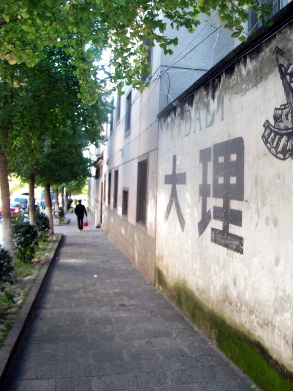 dscf0332.jpg