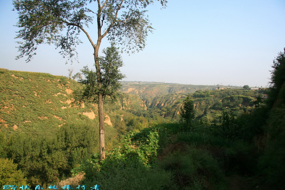 658.jpg