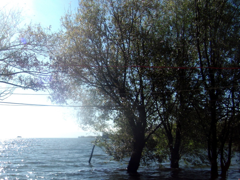 dscf0368.jpg