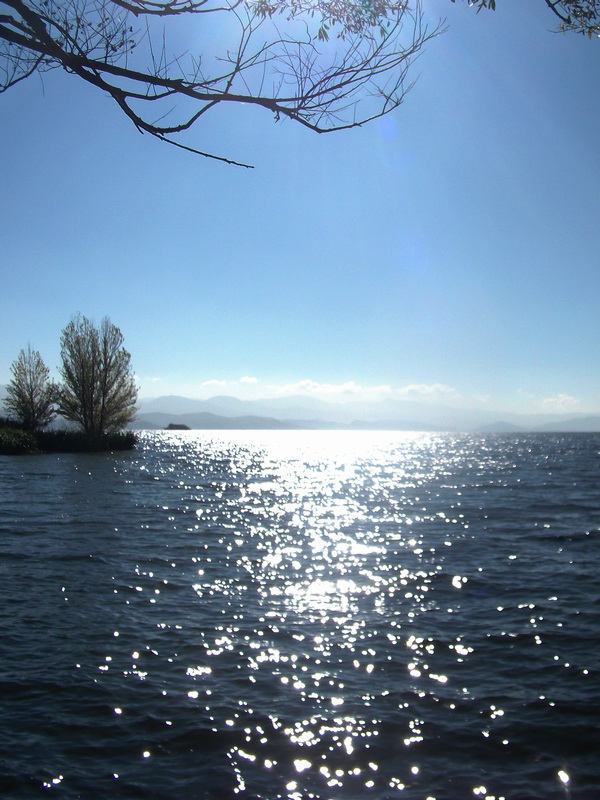 dscf0373.jpg