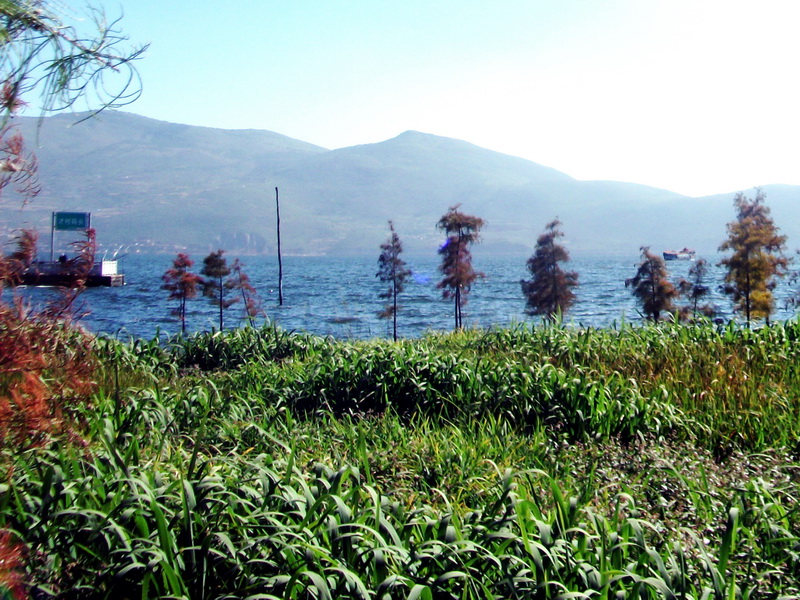 dscf0374.jpg