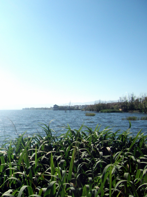 dscf0375.jpg
