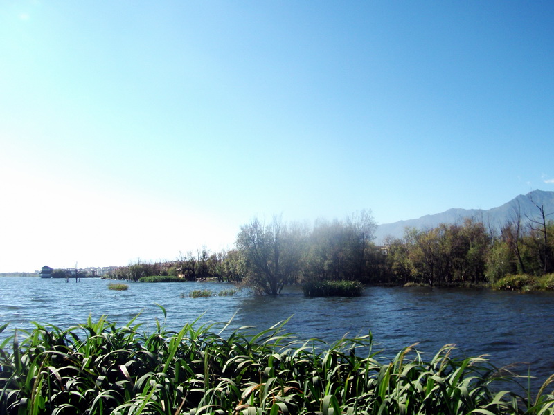 dscf0376.jpg
