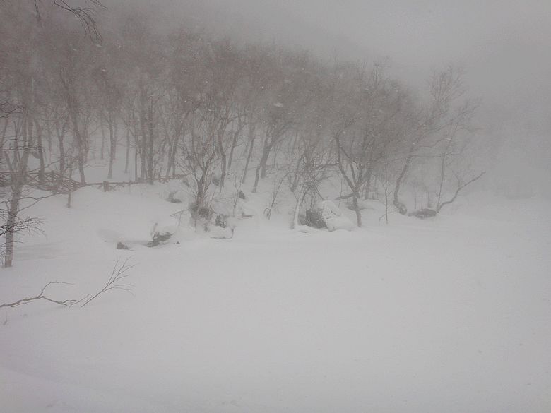 dsc09514.jpg
