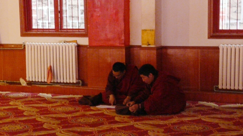 220.jpg
