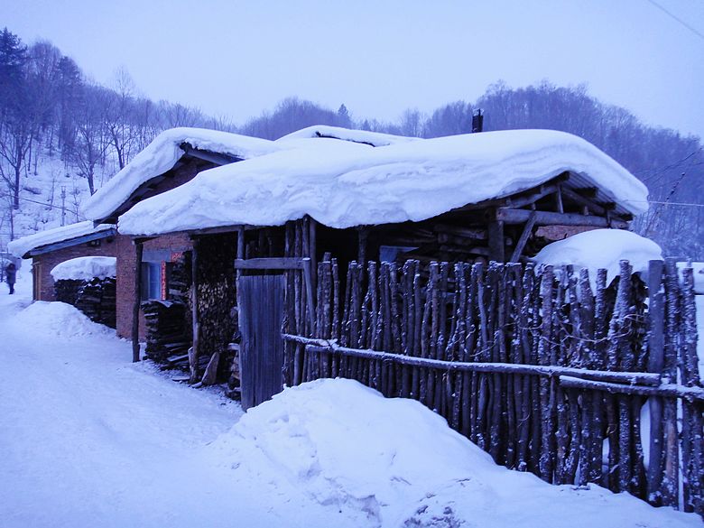 dsc09229.jpg