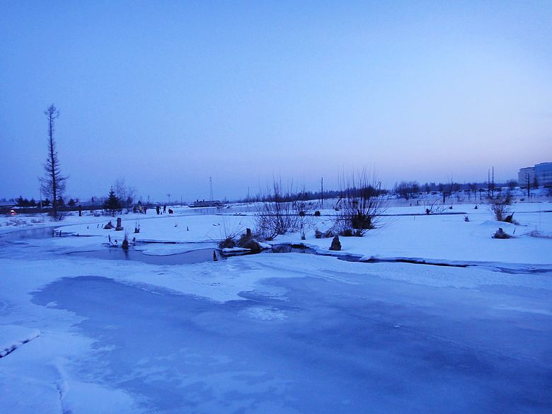 dsc09540.jpg